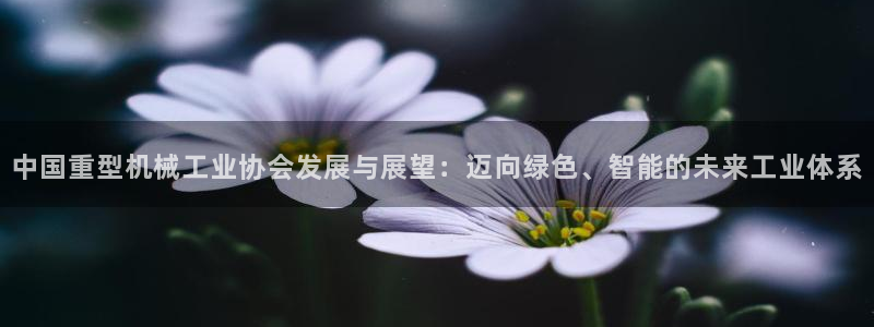万事娱乐云机