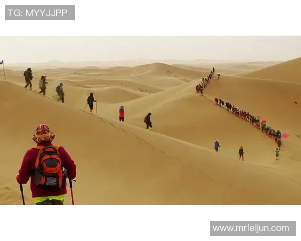 飞盘追梦：赵芳的运动人生与心灵对话探索