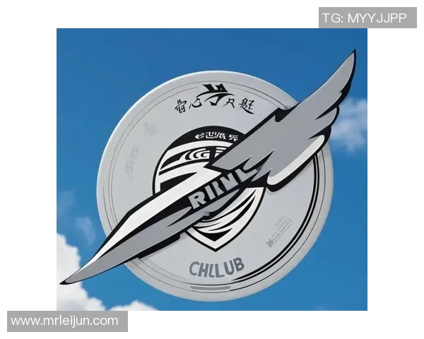 飞盘新手必看：从零基础到比赛经验的全面入门指南